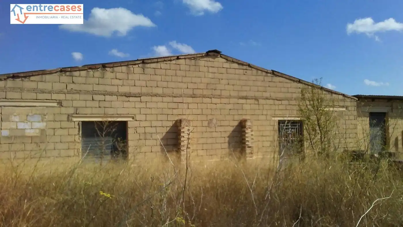 Rural land for sale in Albalat dels Tarongers, imagen 3