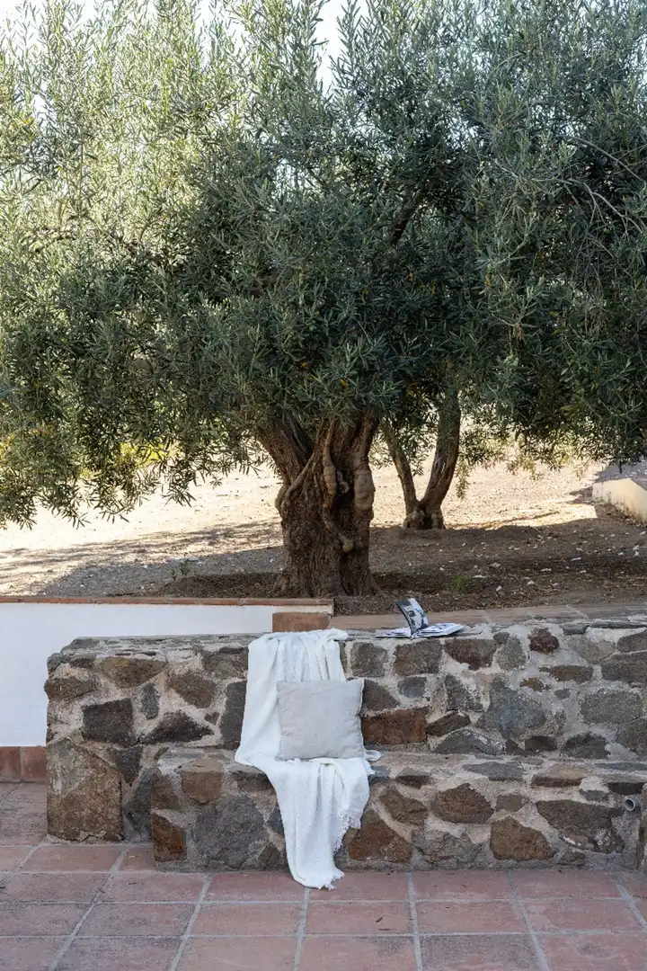 Jardí de Finca rústica en venda en Málaga amb Terrassa
