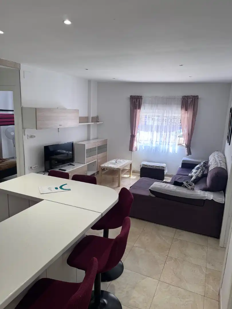 Living room of Flat for sale in Castellón de la Plana / Castelló de la Plana  with Air Conditioner, Heating and Furnished