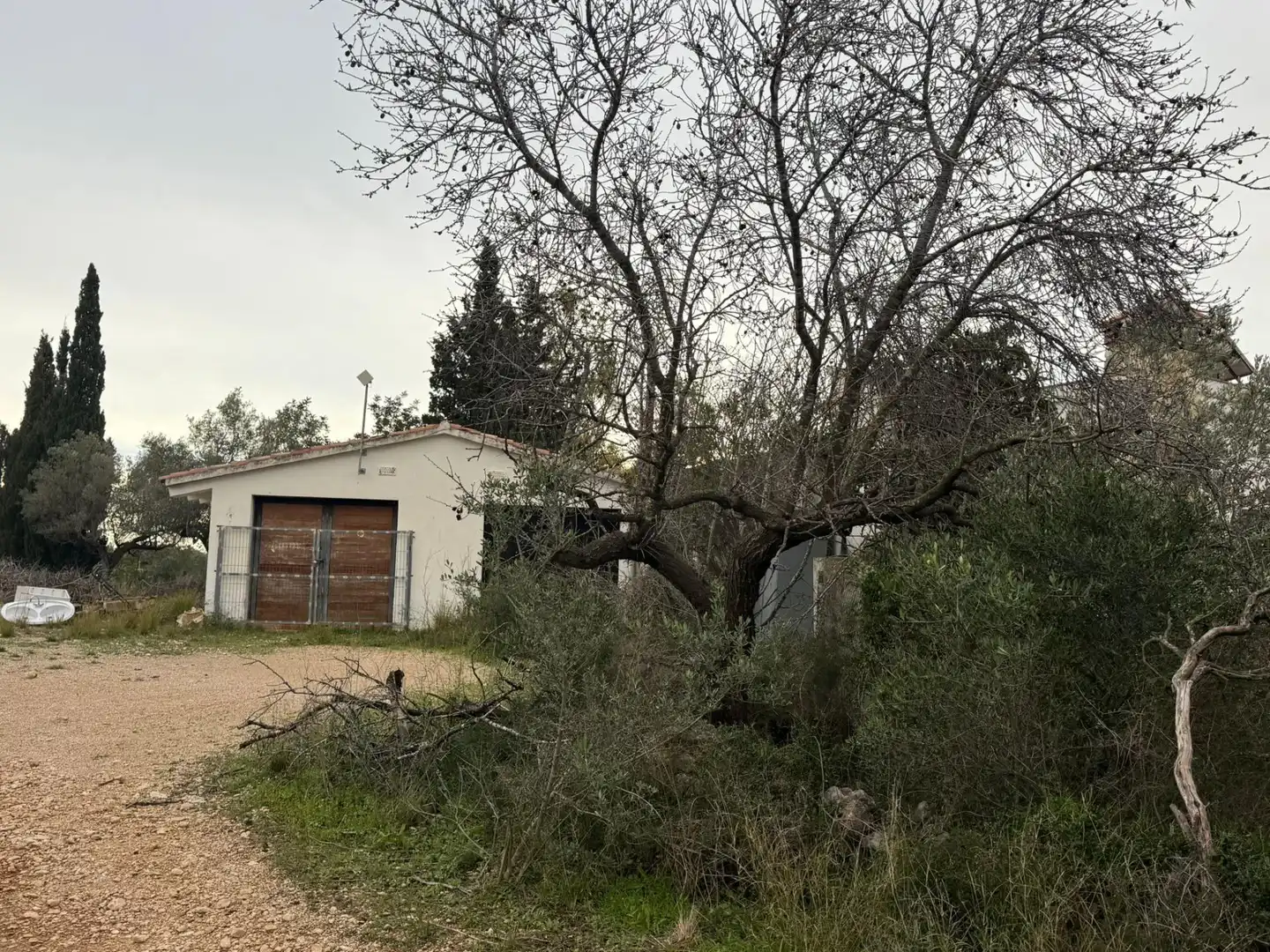 Finca rústica en venta en Camarles