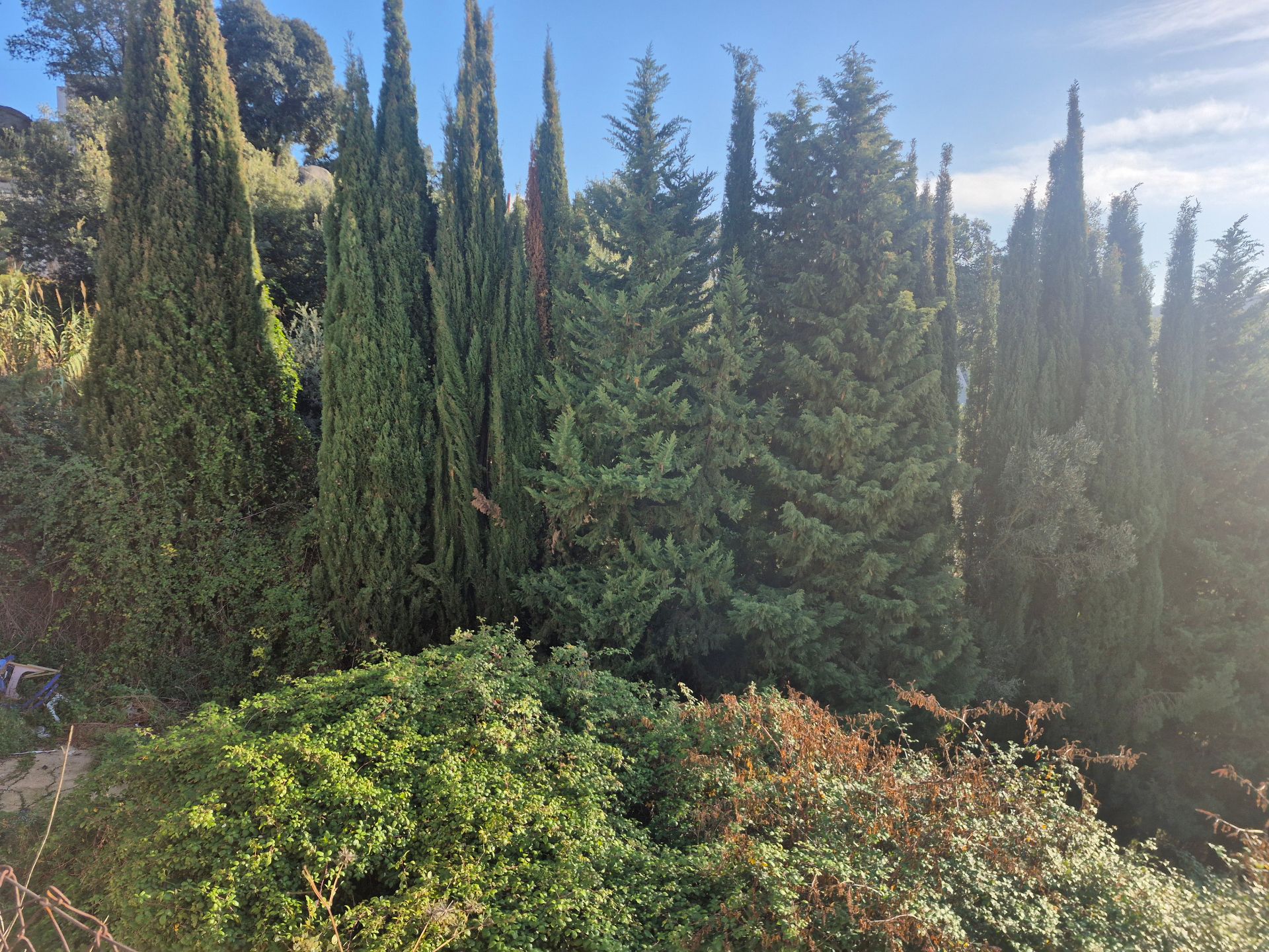 Jardí de Casa o xalet en venda en Sant Cebrià de Vallalta amb Jardí privat