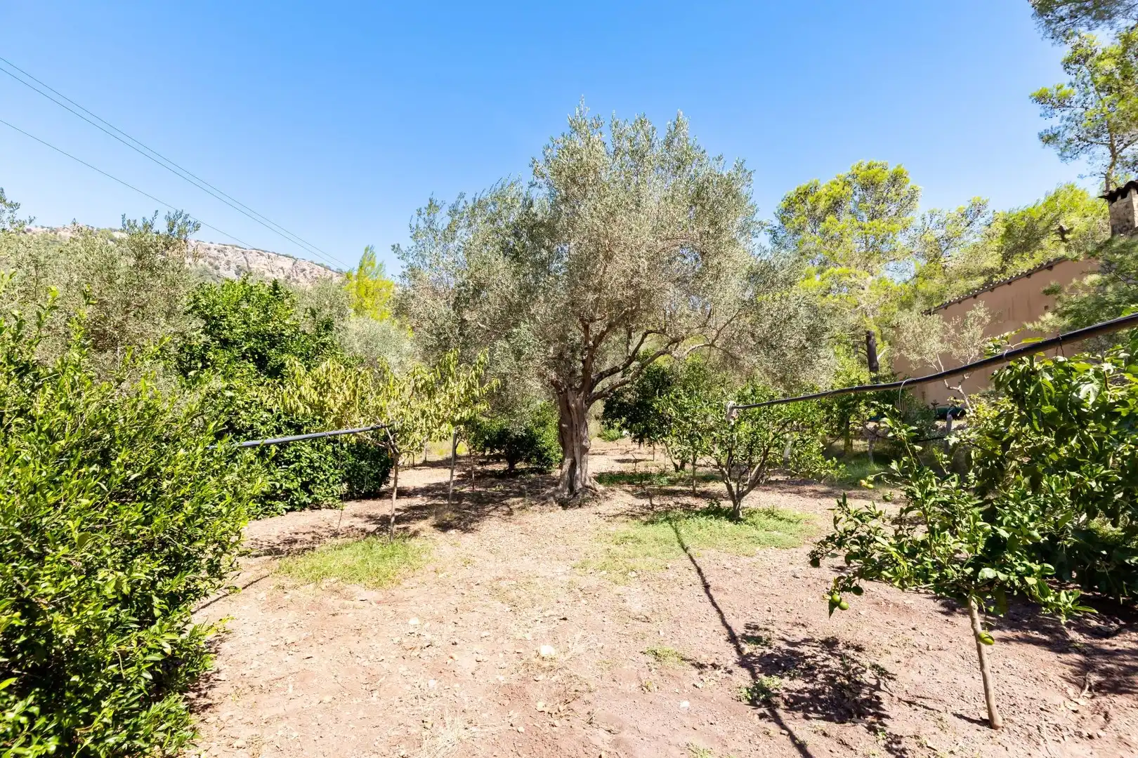 Casa rustica con piscina in vendita a Esporles, imagen 32