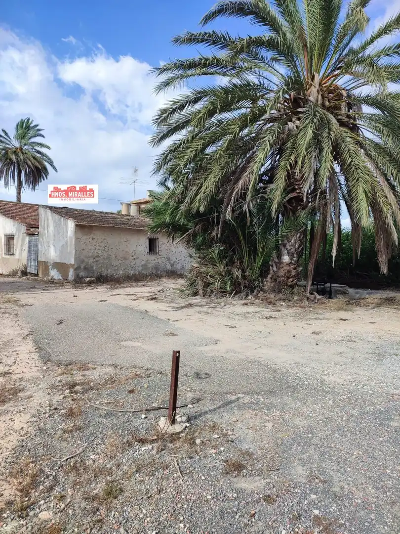 Country homes for sale in Elche / Elx