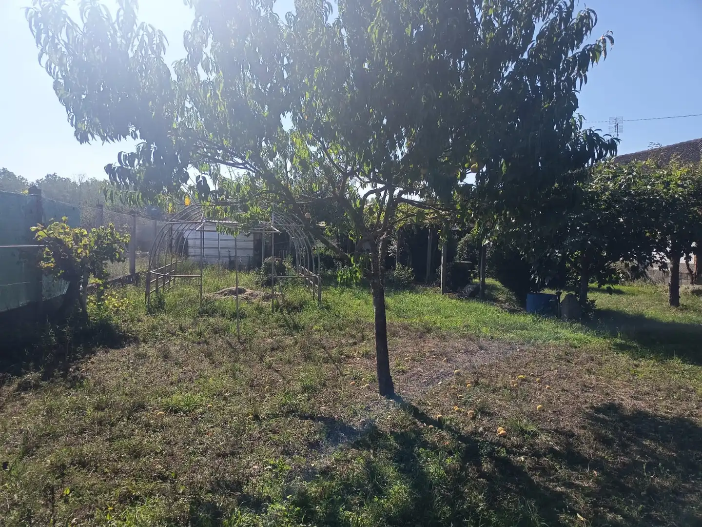Residential land for sale in Monforte de Lemos, imagen 6