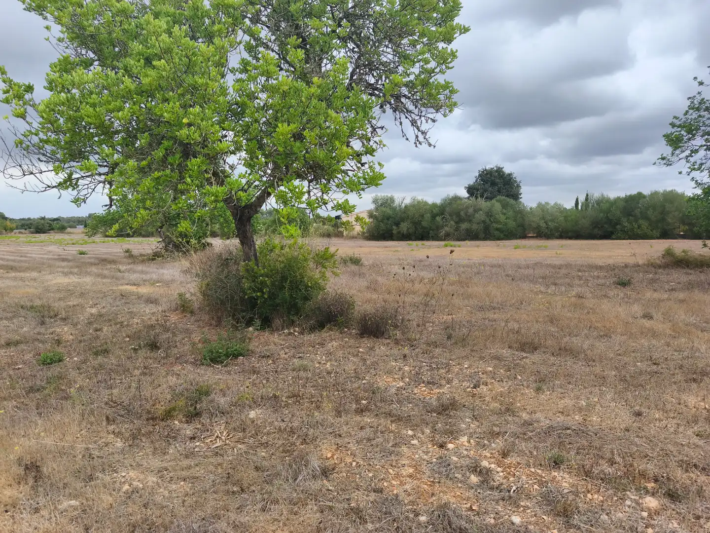 Terrain résidentiel à vendre à Algaida, imagen 6