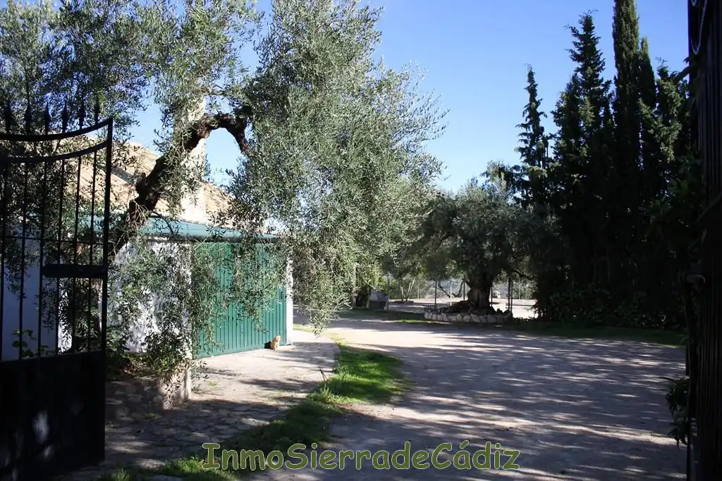 Casa rústica amb terrassa en venda a Paco de Arriba, imagen 9