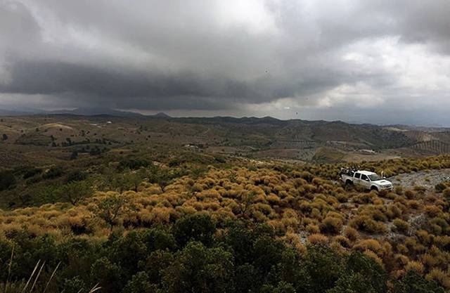 Terreno en Venta en Plaza Real en San Mateo