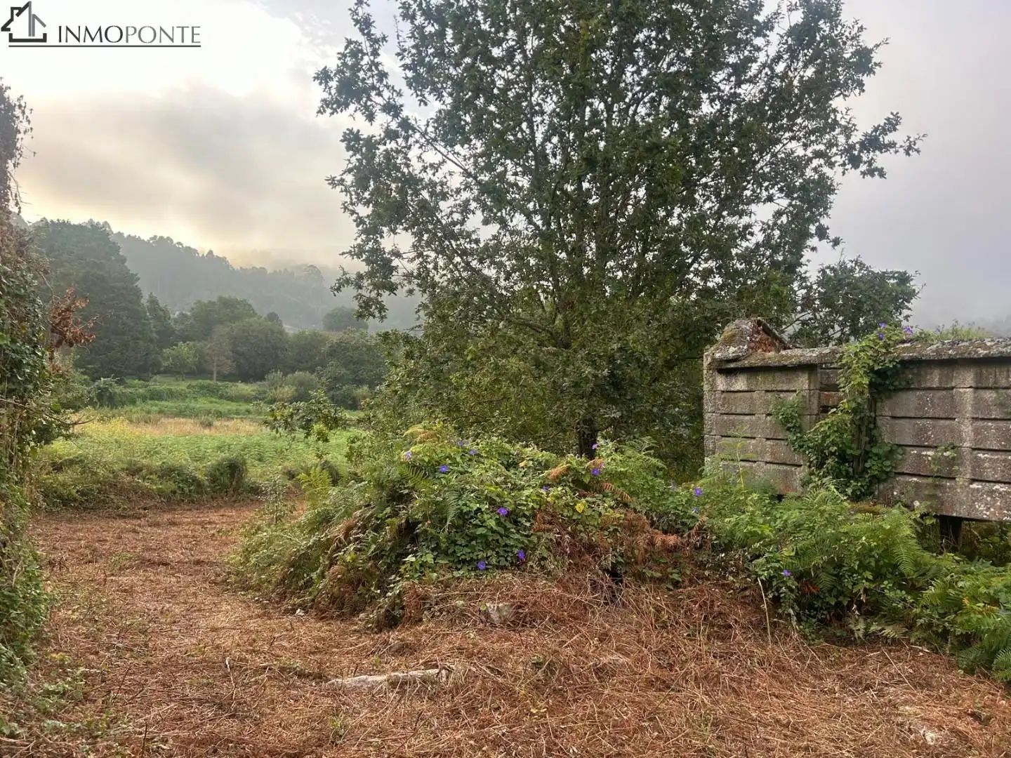 Terrenys i solars en venda a Parroquias Rurales, imagen 8