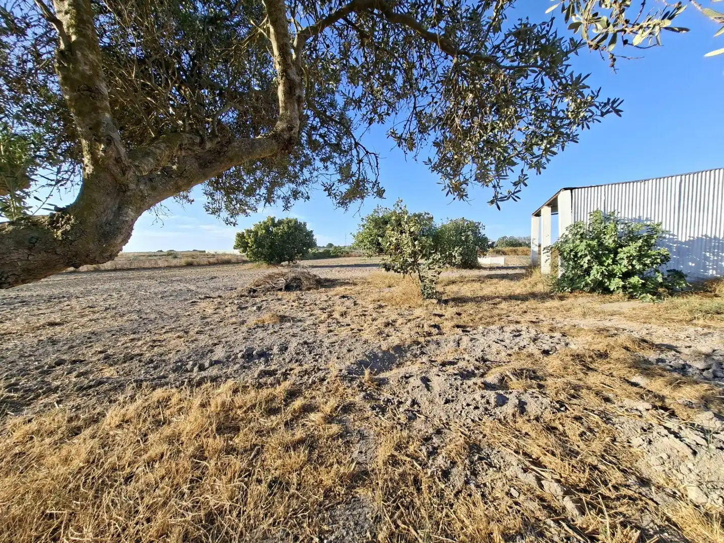 Finca rústica en venda en Chiclana de la Frontera
