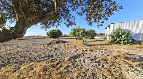 Foto 2 de Finca rústica en venda a Núcleo urbano, Chiclana de la Frontera
