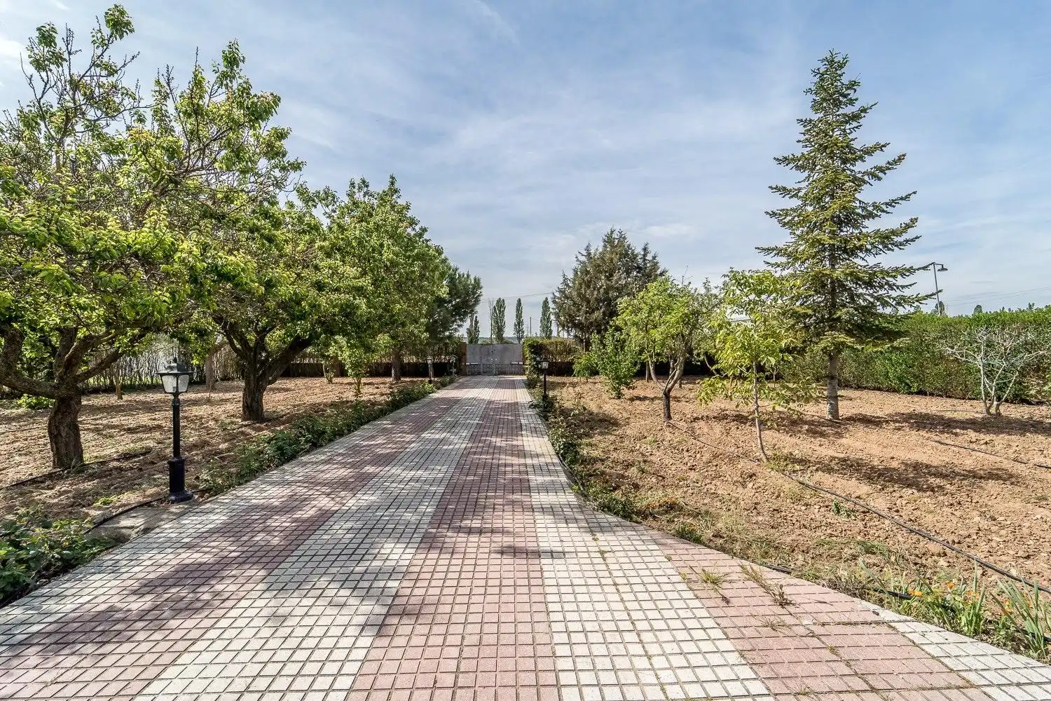 Casa con piscina in vendita a Tudela de Duero, imagen 4