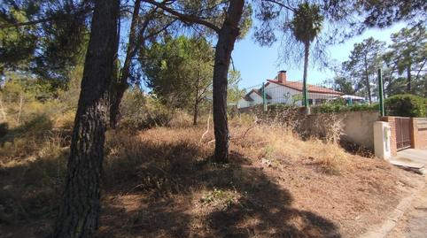 Photo 5 of Residential for sale in Urbanizacion Pinar de la Bota, Isla Cristina Ciudad, Huelva