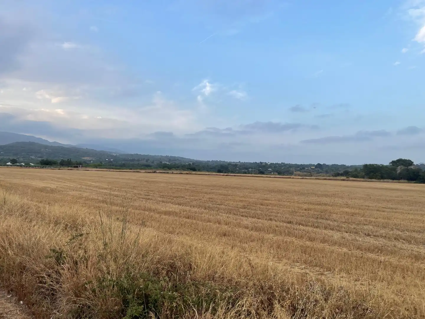 Terrain rustique à vendre à Plaça de l'Església Vella 13, imagen 11