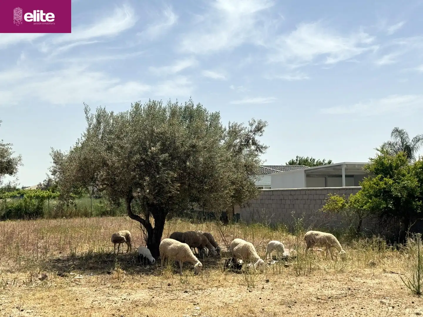 Residential for sale in Pozoalbero
