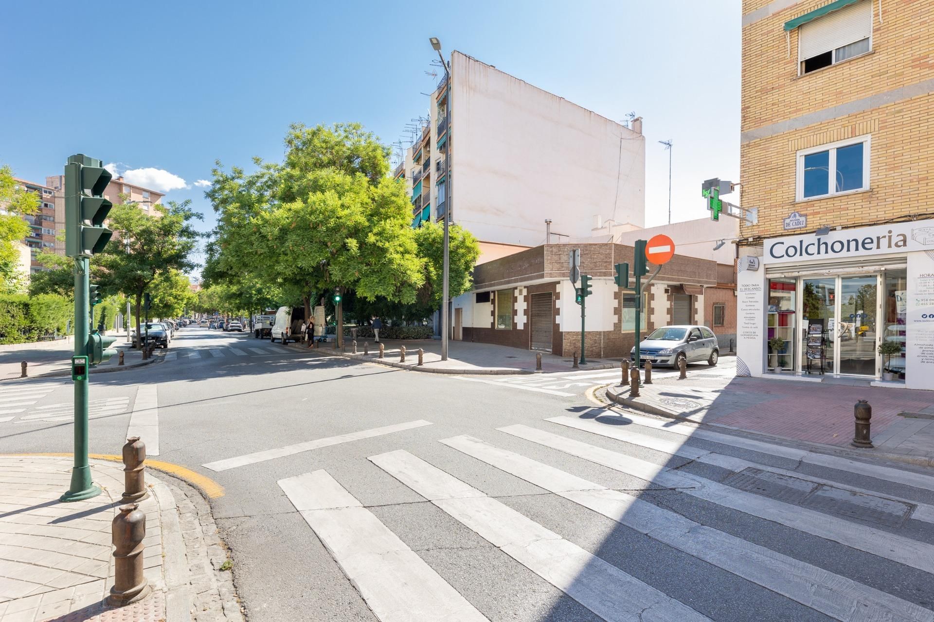 Exterior view of House or chalet for sale in  Granada Capital  with Terrace