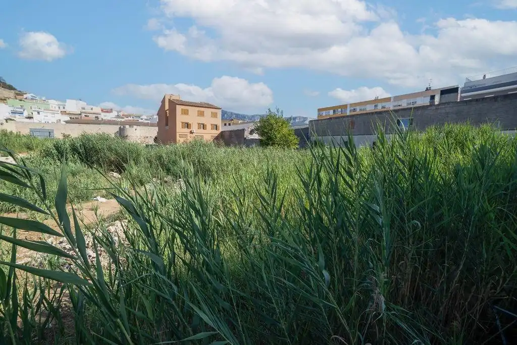 Lands and plots for sale in Calle de Pego, imagen 8