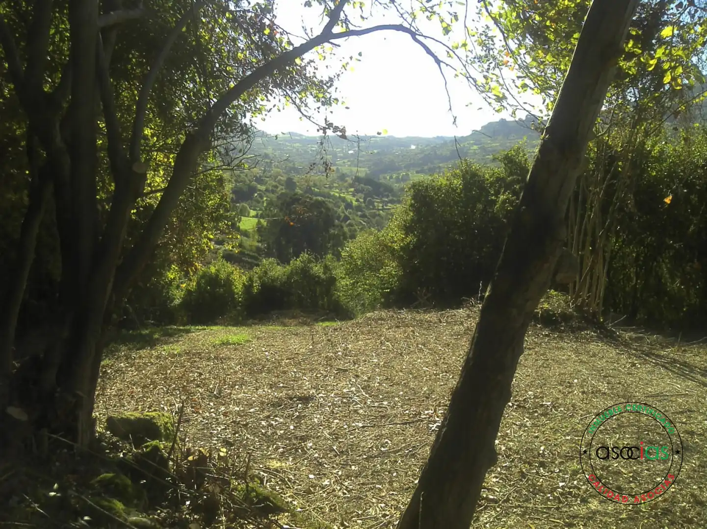 Terreno rustico in vendita a Gijón - BARRIO SAN PELAYO - CALDONES, imagen 15