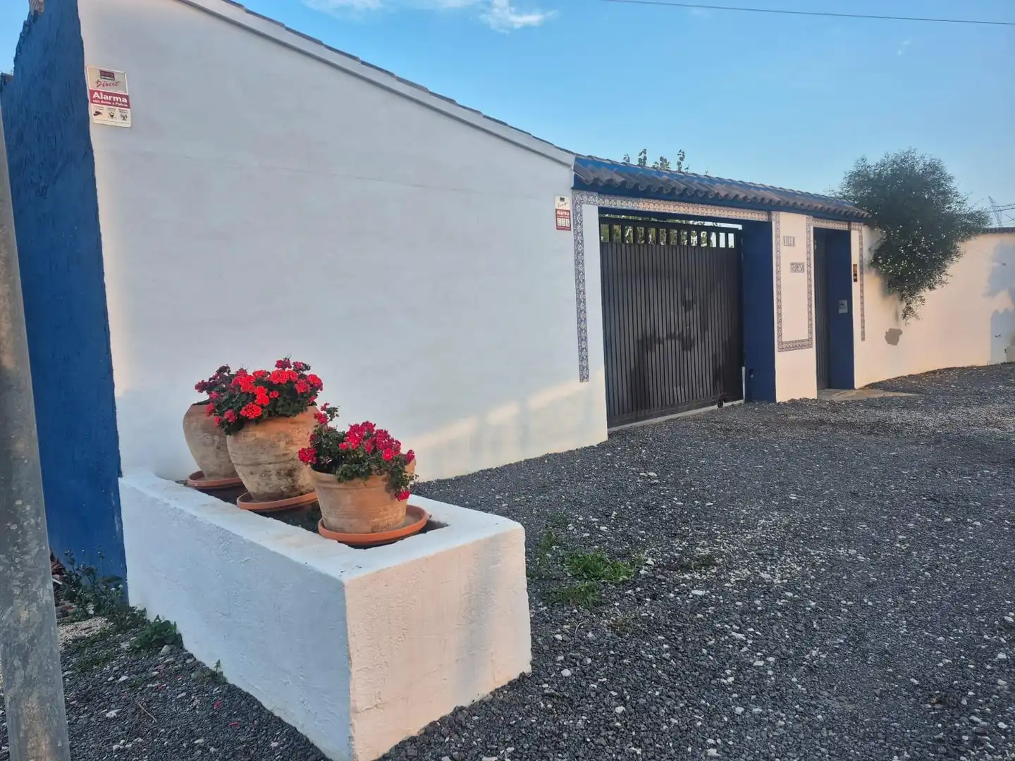 Casa con jardín en venta en Orihuela ciudad, imagen 34