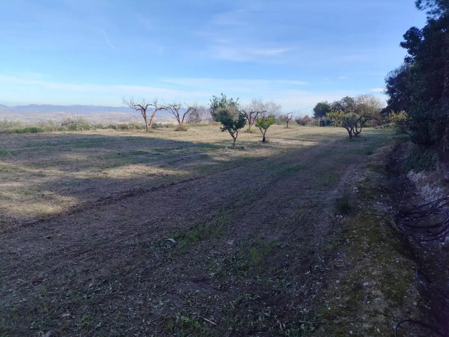 Terreno residenziale in vendita a Agullent, imagen 10