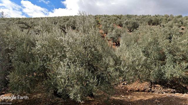 Terreno en Venta en Santisteban del Puerto