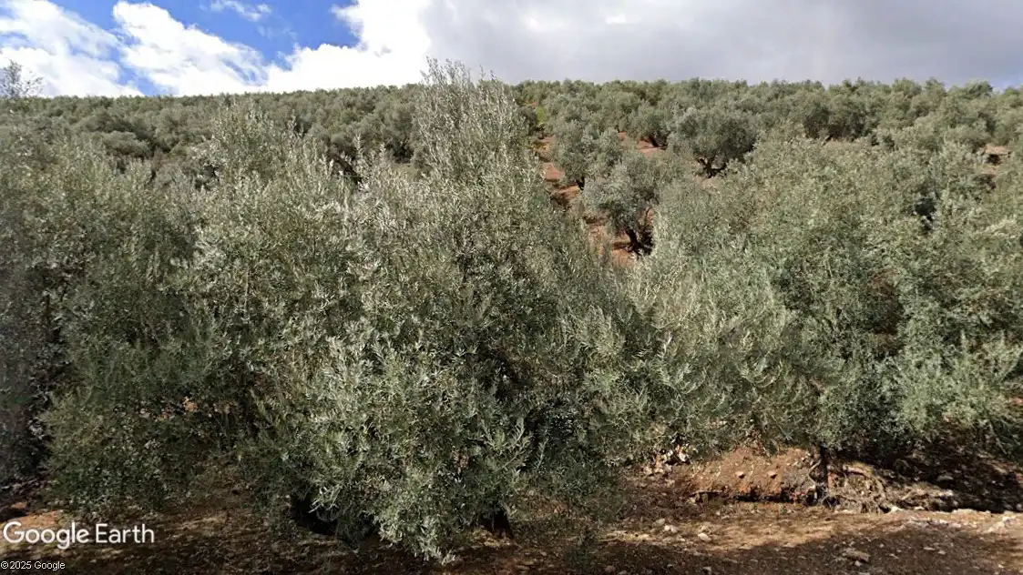 Terreni e lotti in vendita a Santisteban del Puerto