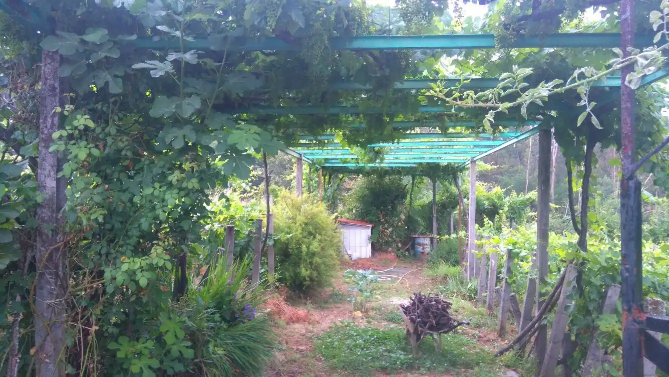 Residential land for sale in O Carballiño, imagen 4