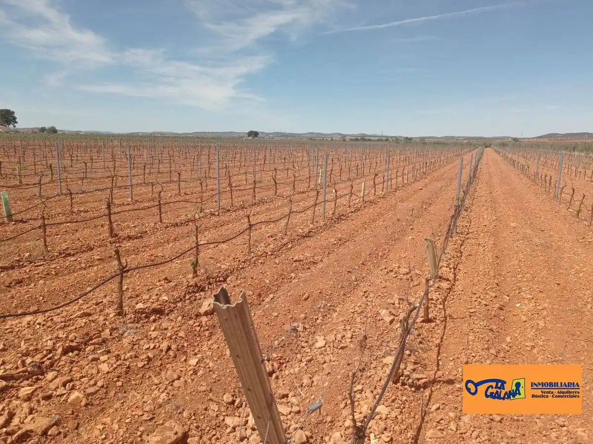 Finca rústica en venda en Torrenueva
