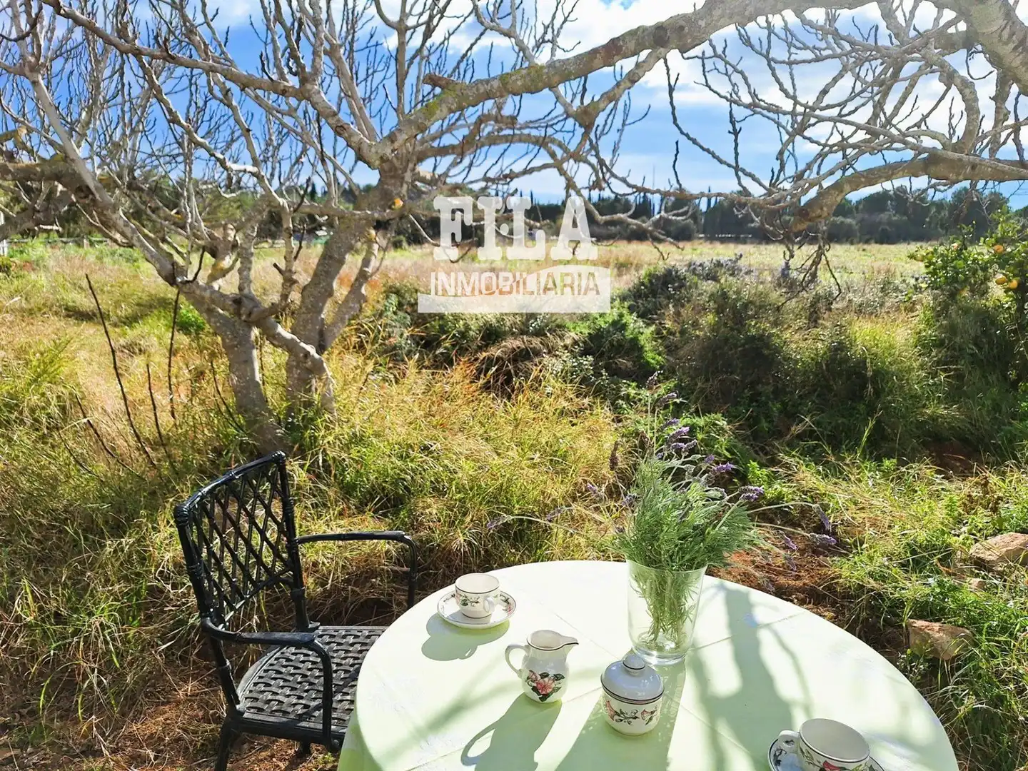 Villa à vendre à La Franquesa - Oasis Park, imagen 3