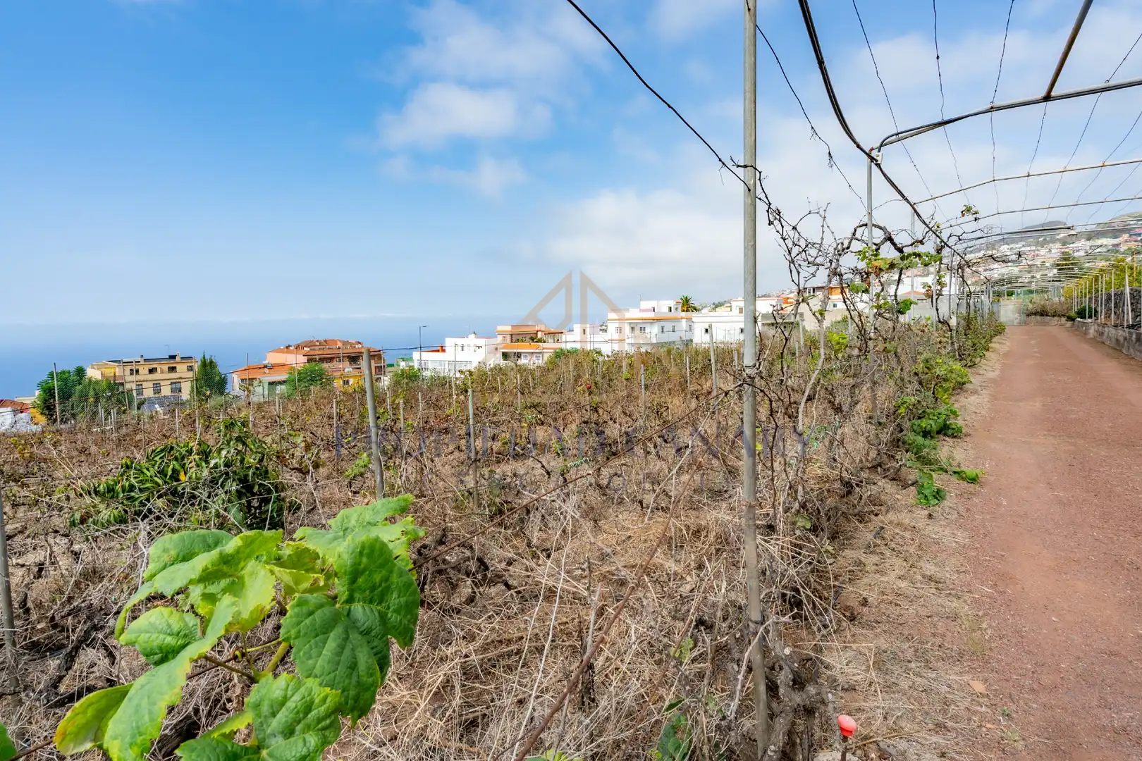 Terreno residencial en venta en Calle Vista Alegre 3, imagen 16