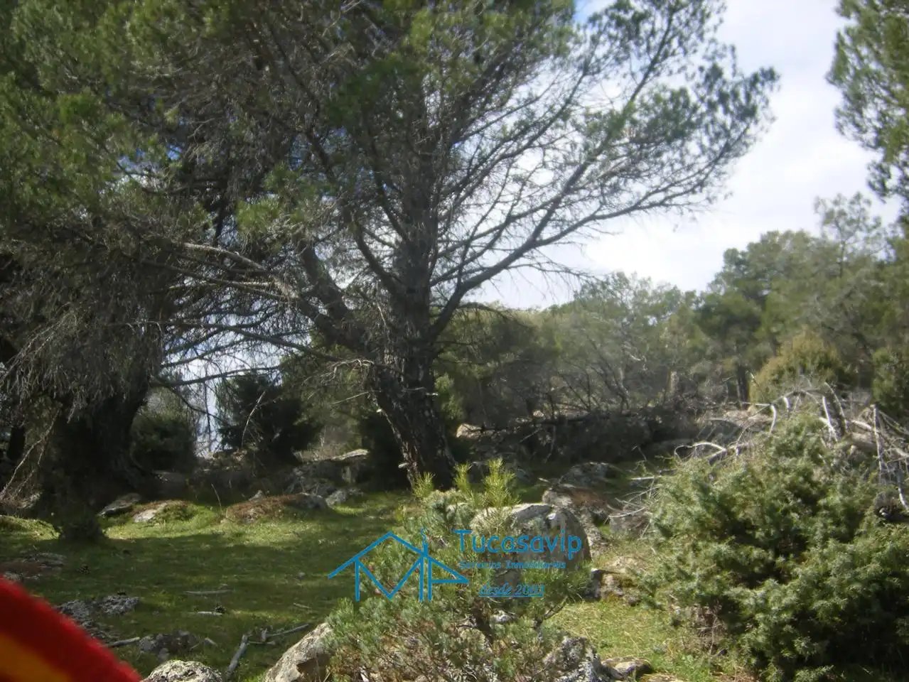Terreni e lotti in vendita a Cebreros, imagen 17