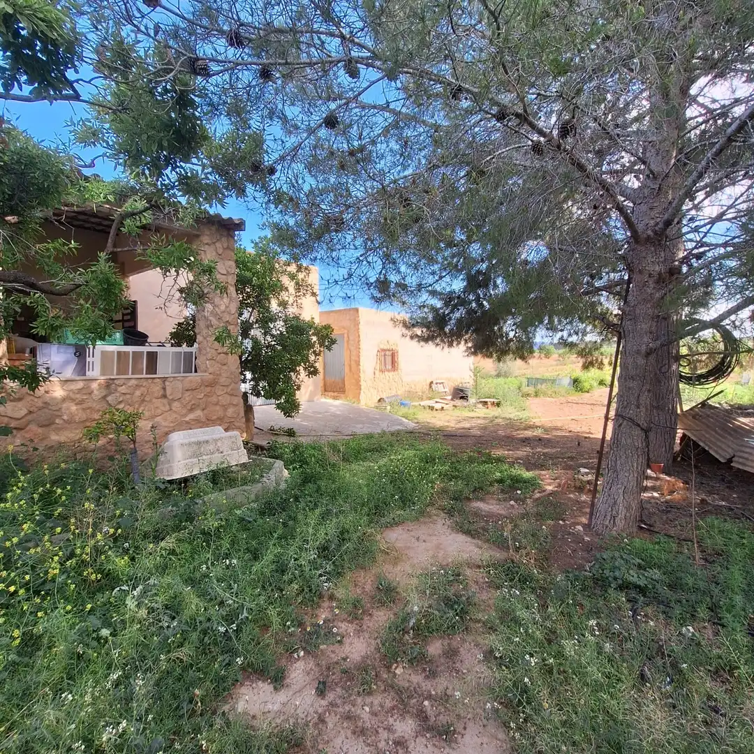 Terreno residencial en venta en El Pinós / Pinoso, imagen 14