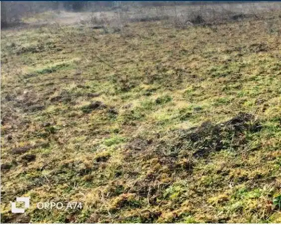 Grundstücke und Bauplätze zum Verkauf in SUD3-CANAL INDUSTRIAL 3 2