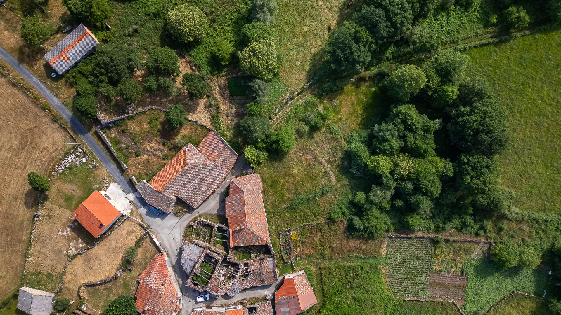 Finca rústica en venta en Parada de Sil