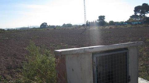 Foto 4 de Finca rústica en venta en Novelda, Alicante