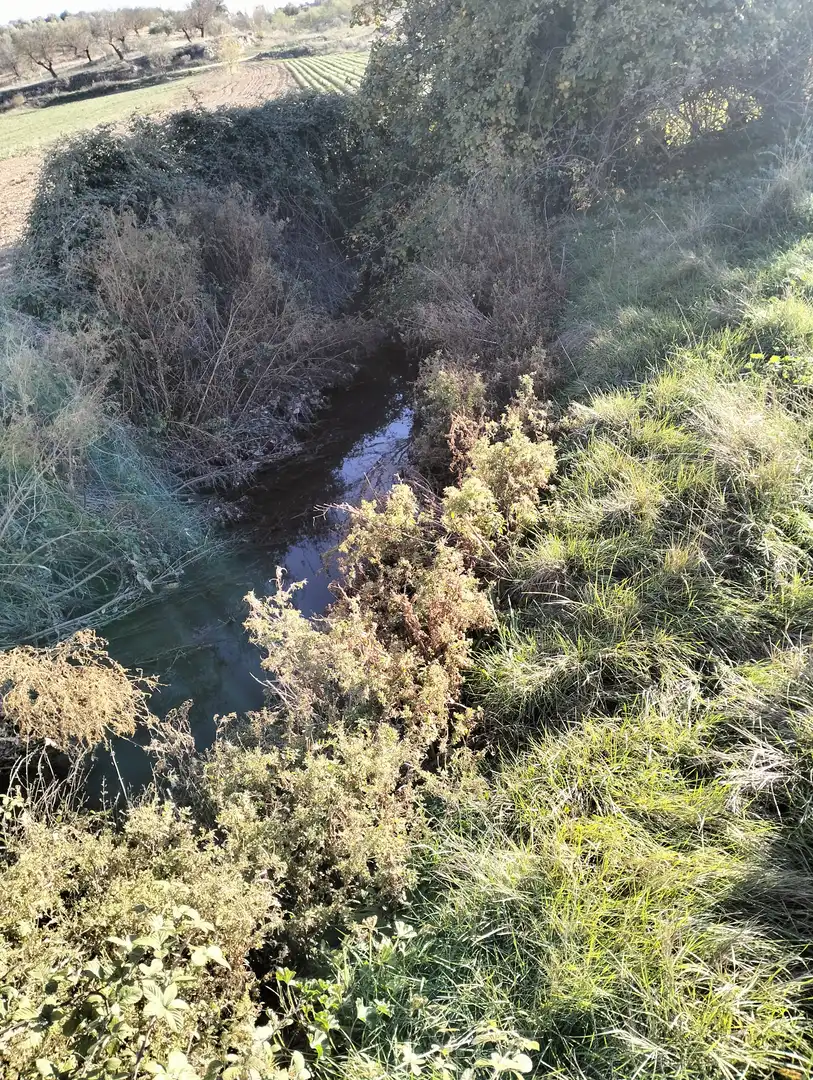 Terreno rustico in vendita a N/A, imagen 2