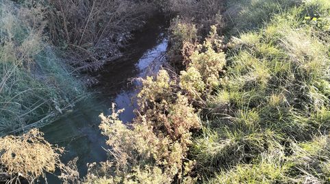 Huerta al lado Del Rio Corcoles, immagine 2