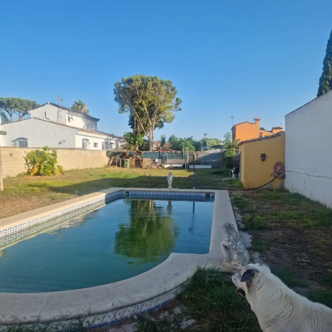 Piscina de Local en venda en Chiclana de la Frontera amb Aire condicionat