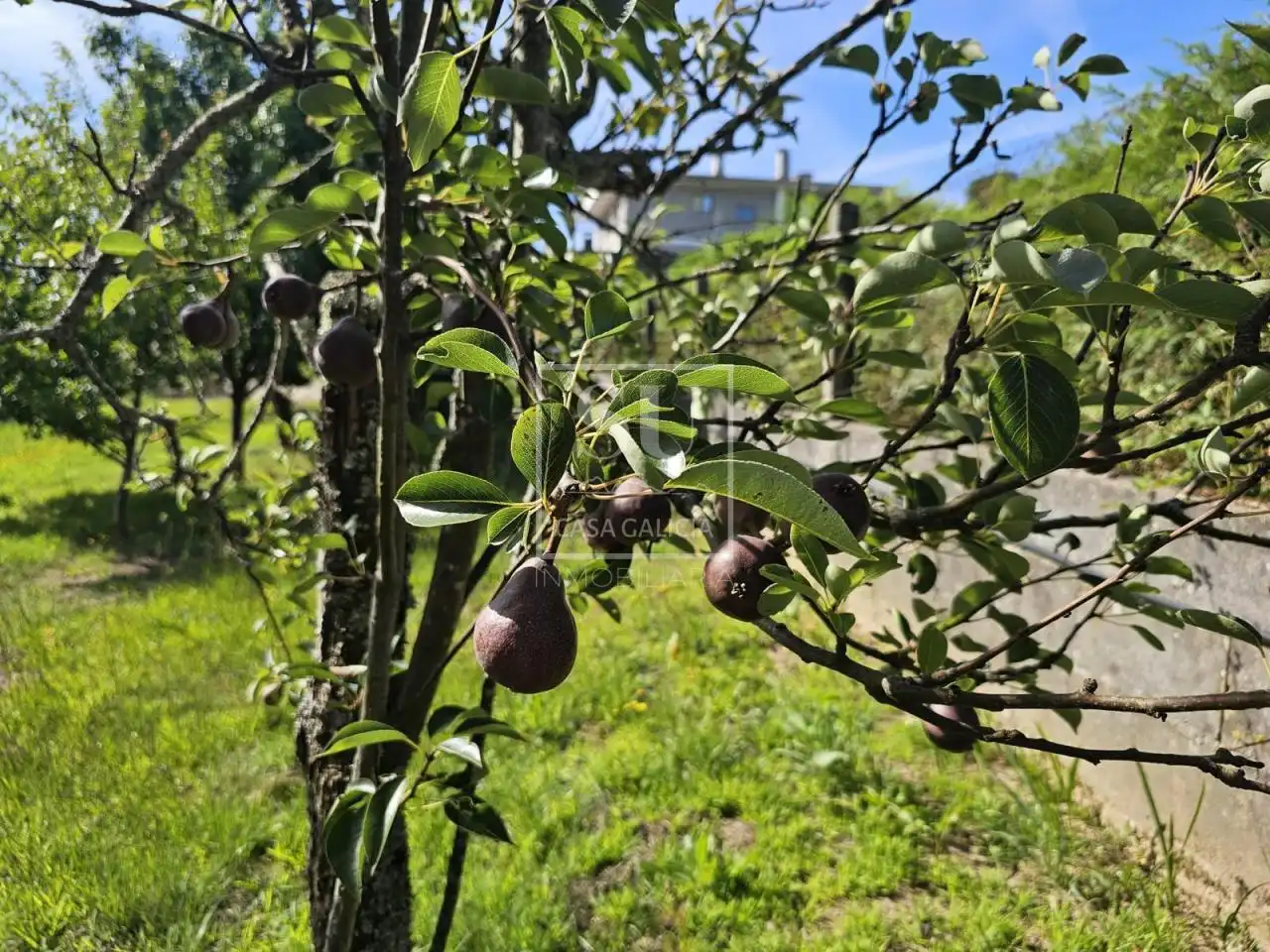 Xalet amb jardí en venda a Baiona, imagen 35