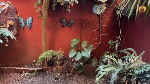 Photo 3 of Duplex for sale in General, La Matanza de Acentejo, Santa Cruz de Tenerife