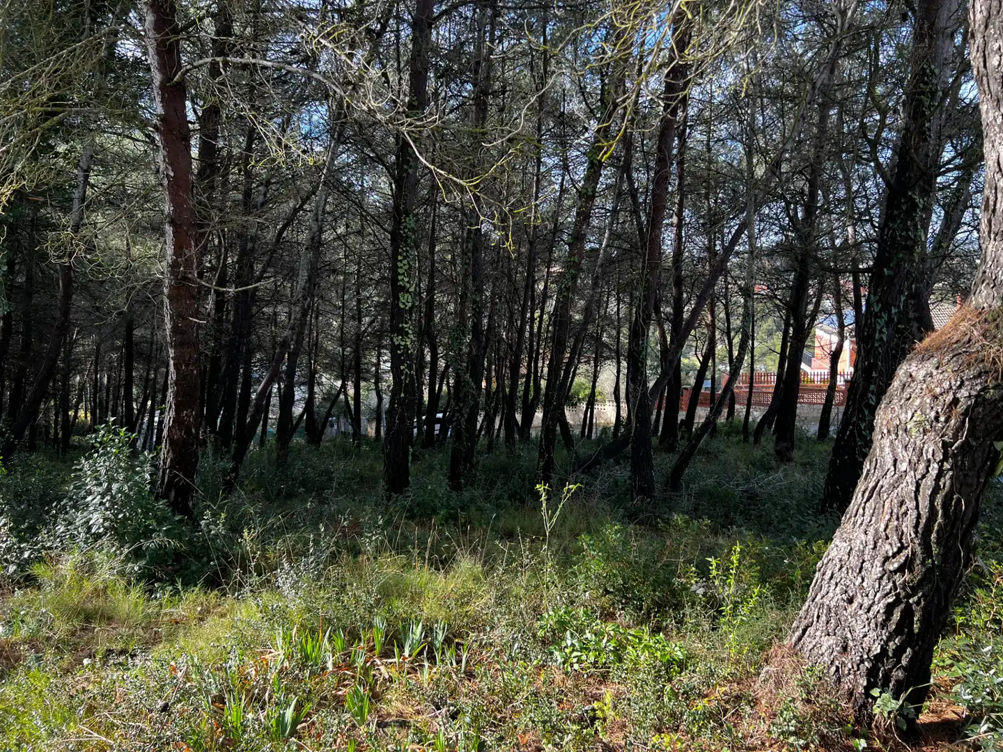 Residencial en venda en Olesa de Bonesvalls
