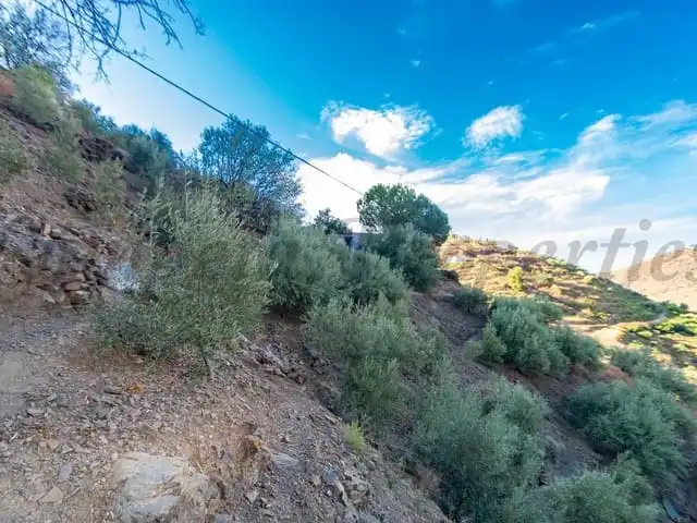 Terreni e lotti in vendita a Cómpeta, imagen 4