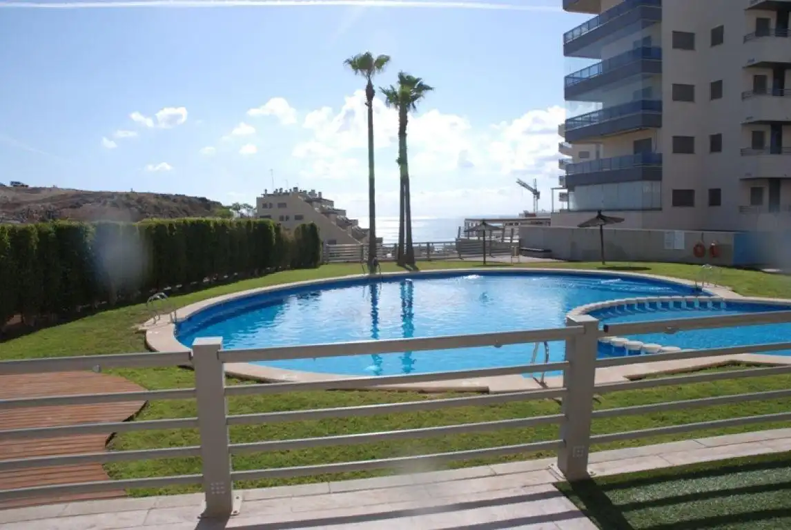 Swimming pool of Apartments for sale in Elche / Elx  with Air Conditioner, Heating and Private garden