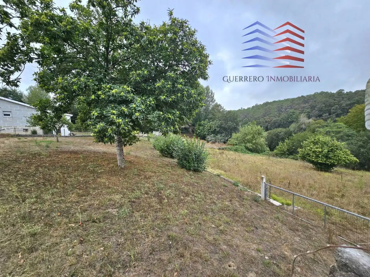 Casa o xalet en venda en Celanova amb Jardí privat i Terrassa