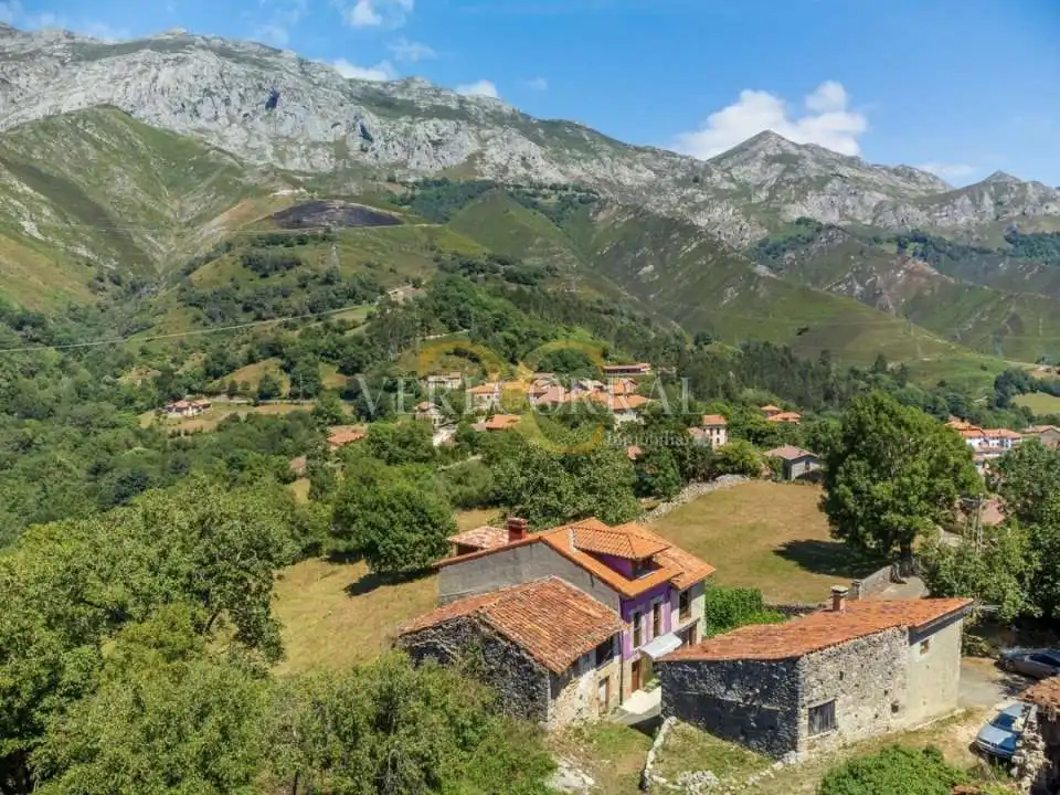 Vista exterior de Casa adosada en venda en Peñamellera Alta amb Calefacció
