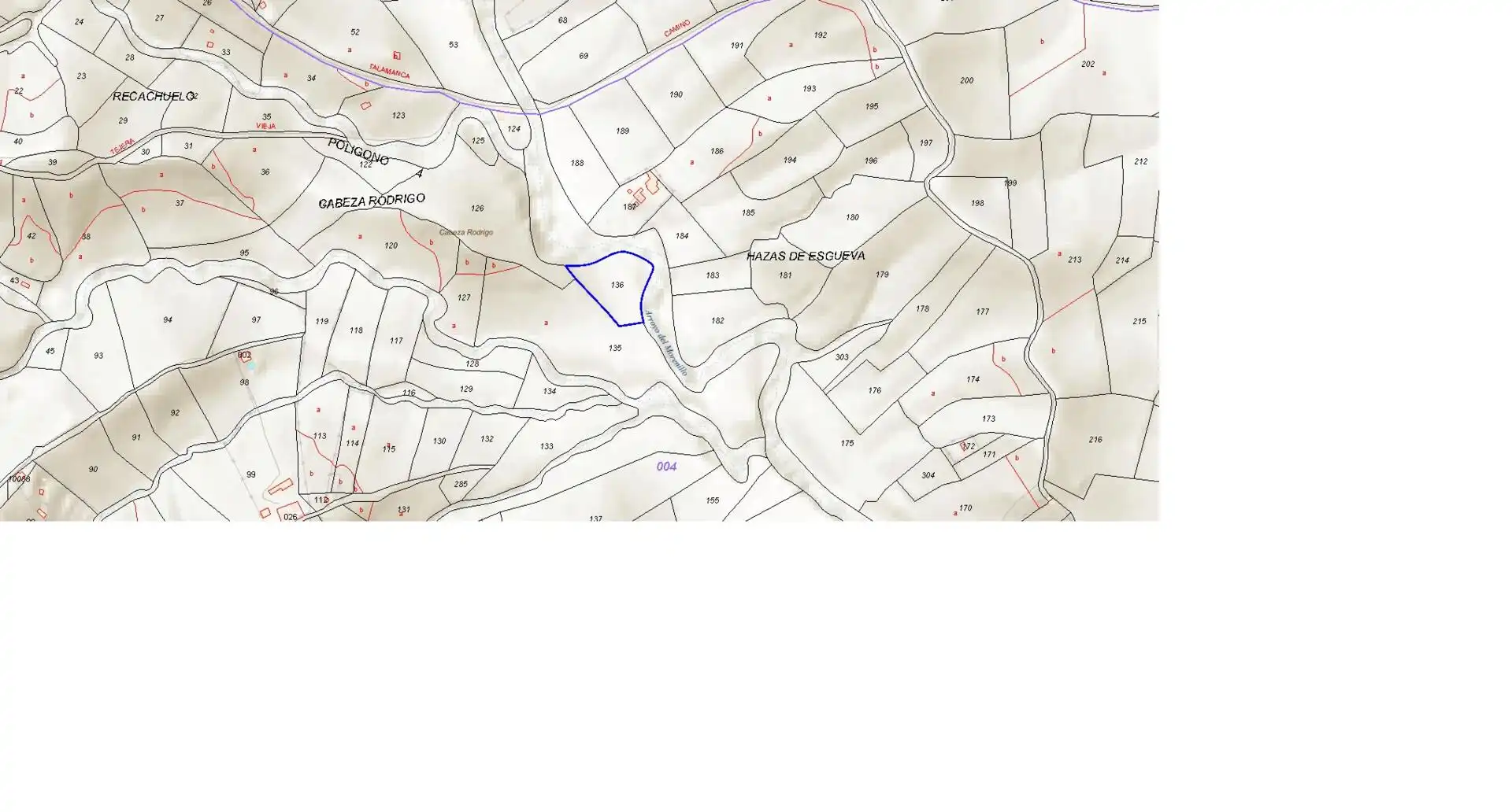 Terreny rústic en venda a Polígono Polígono 4 parcela 136 136, imagen 3