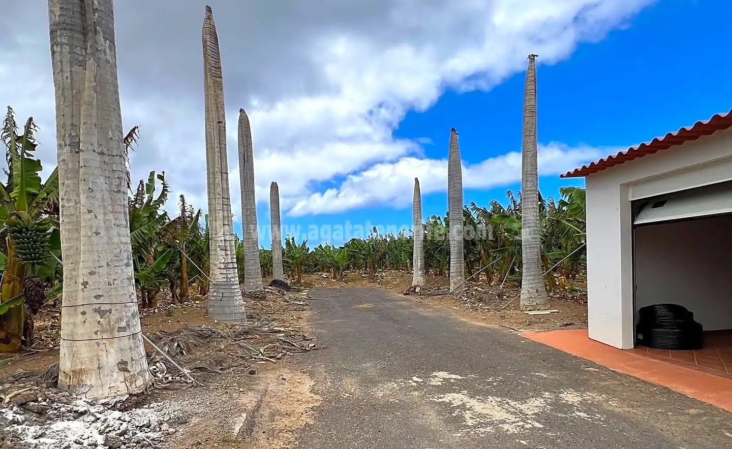 Vista exterior de Finca rústica en venta en Los Silos con Jardín privado y Terraza