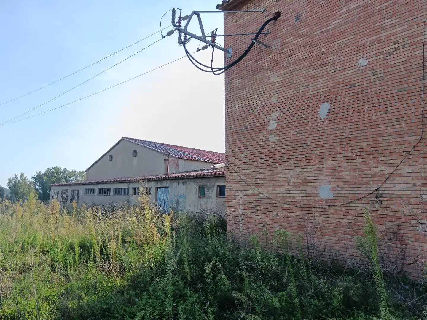 Industrial building to rent in carretera Olvan 9, imagen 15