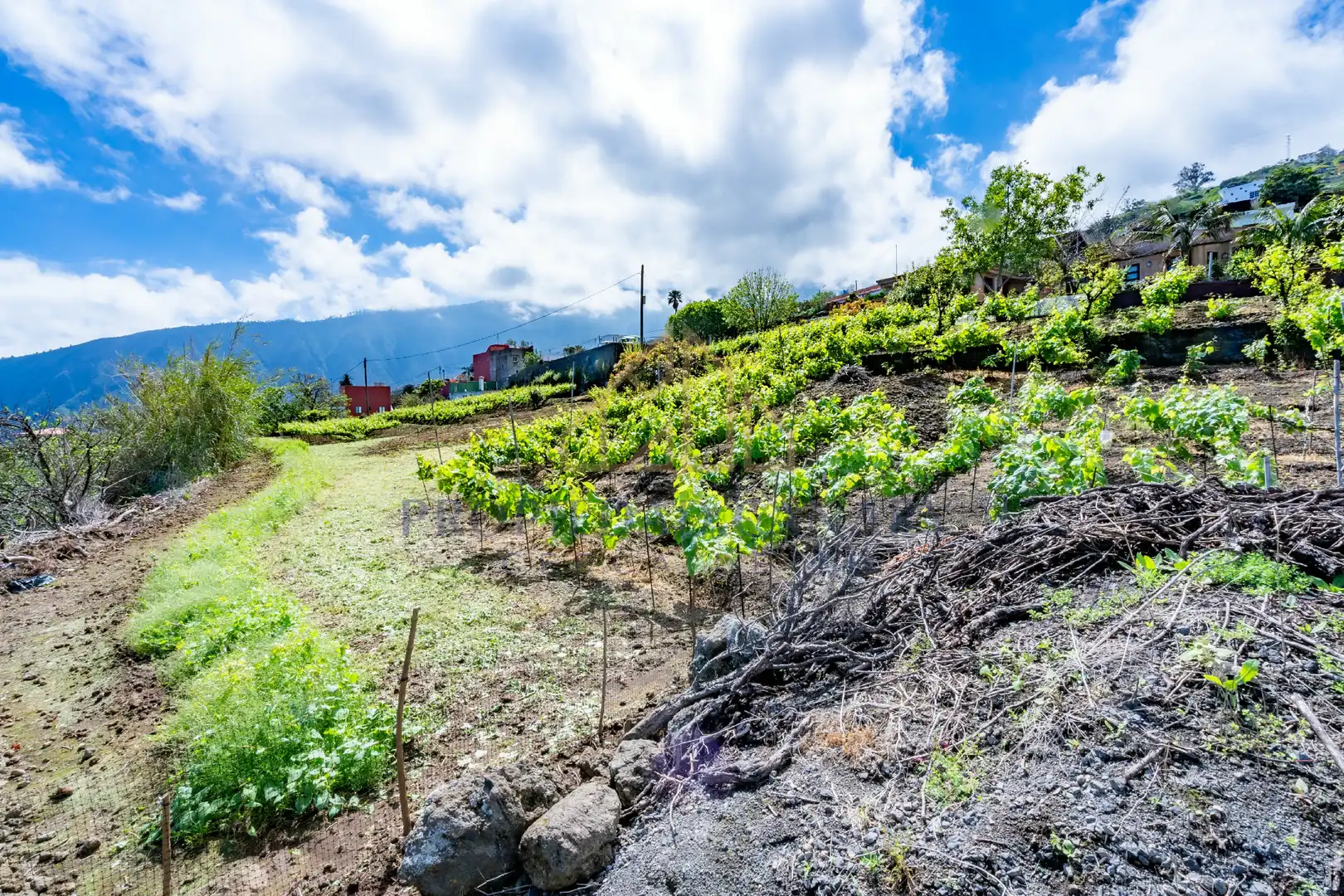 Casa rústica con jardín en venta en La Perdoma - San Antonio - Benijos, imagen 41