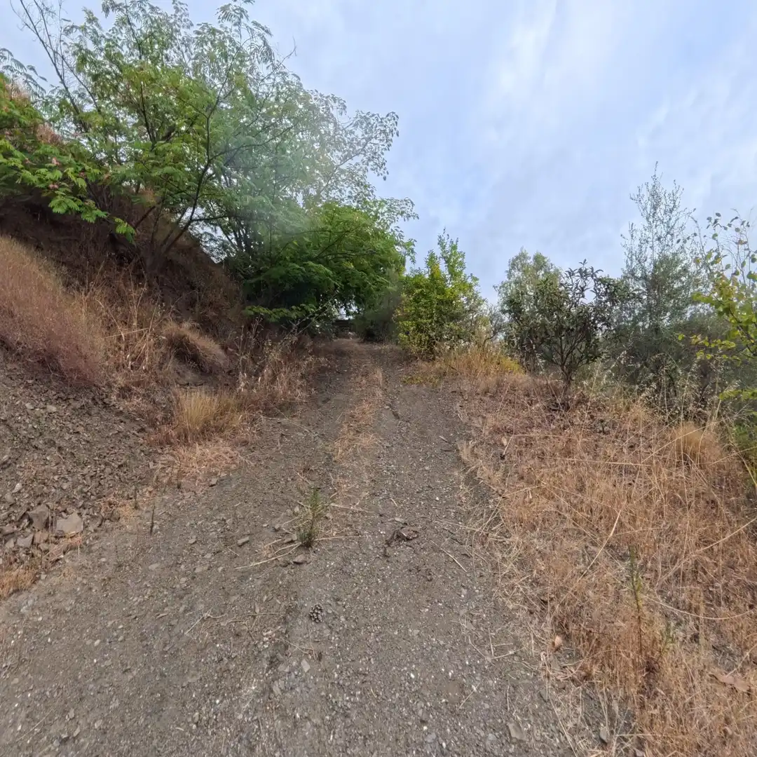 Country house with garden for sale in Cómpeta, imagen 19