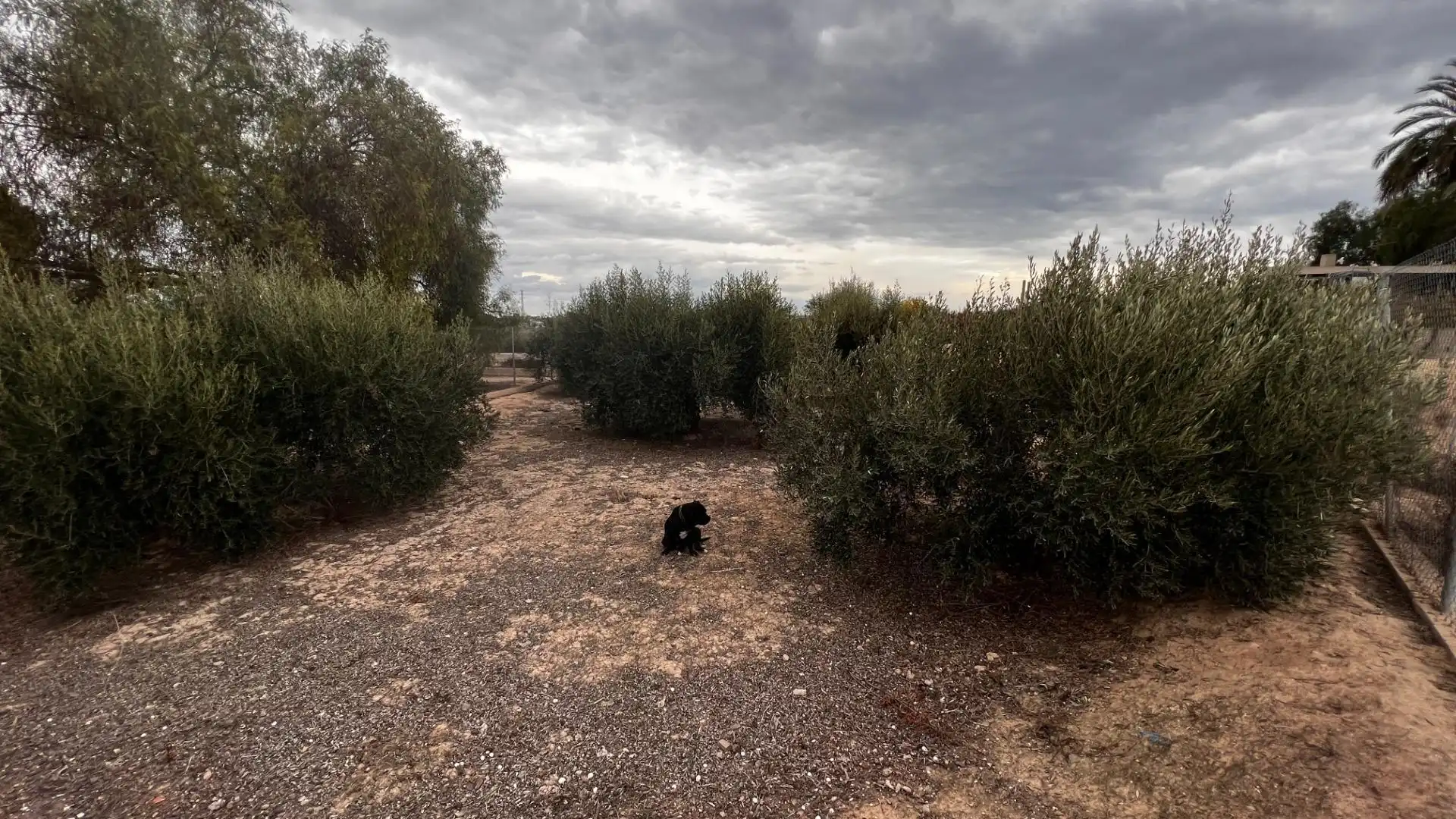 Land for sale in Cañada Hermosa